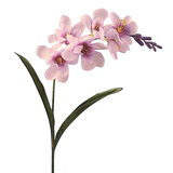A 56cm Pink Freesia Stem.