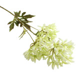 A 73cm Green & White African Lily Stem.