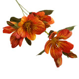 A 61cm Orange Peruvian Lily Stem.
