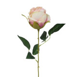 A 56cm Cream and Pink Rose Stem.