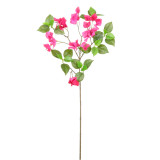 A 77cm Cerise Wild Bougainvillea Spray.