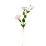A 72cm Real Touch Ivory Lisianthus Spray.