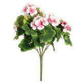 A Cream/Pink Geranium Bunch, measuring approx. 55cm.