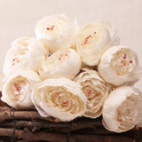 45cm Cream White Peony Bunch - 9 Stems (1)