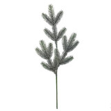 A 61cm Aspen Frost Fir Stem.