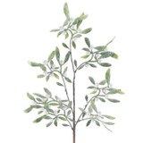 A 60cm Frosted Mistletoe Stem.