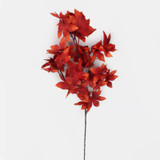 An 85cm Dark Orange Japanese Maple Branch.