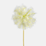A 50cm Cream Dandelion Twig.