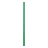 A Green Foam Noodle, measuring approx. 38mm x 1m.