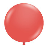 A pack of 25 17" Aloha Latex Balloons, manufactured by Tuftex.