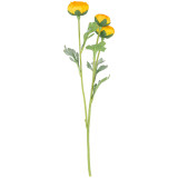 Light Orange Ranunculus Spray (1)