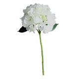 42cm Cream Hydrangea Short Stem (1)