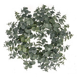 Prestige Eucalyptus Wreath - 30cm (1)