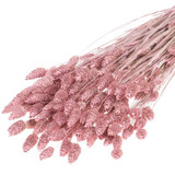 60cm Dried Pink Misty Phalaris Bunch - 185g (1)