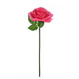 45cm Hot Pink Short Stem Tudor Rose (1)