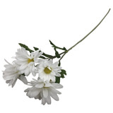 60cm White Daisy Spray (1)