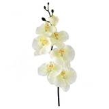 80cm Real Touch Cream Orchid (1)