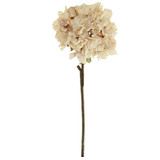 52cm Dried Touch Oyster Ruffled Hydrangea (1)