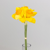 55cm Yellow Three Head Spring Daffodil Bunch (1)