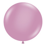 24" Canyon Rose Tuftex Latex Balloons (3)