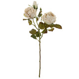 56cm Dried Touch Oyster Valera Rose Spray (1)