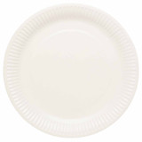 Coconut White Paper Plates (8)