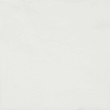 Coconut White Paper Napkins (20)