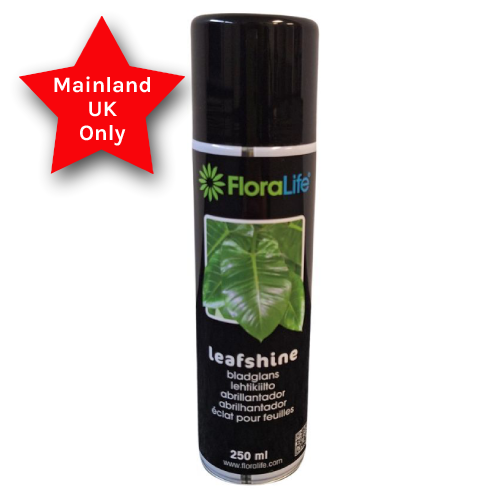 Rendering 3d Di Spray Aerosol Isolato Su Sfondo Bianco, Bottiglia Di Metallo, Lattina, Barattolo