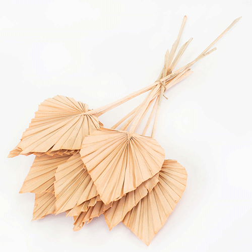 35-55cm Dried Coral Misty Palm Spears Bunch - 10 Stems 35-55cm Dried Coral Misty Palm Spears Bunch - 10 Stems