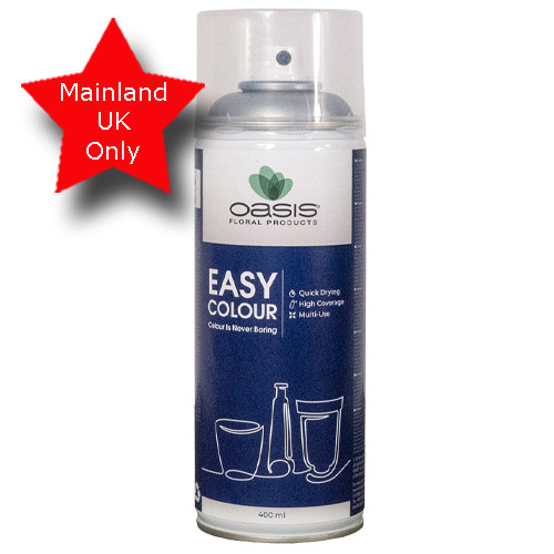 Metallic Silver Easy Colour Spray - 400ml (1)