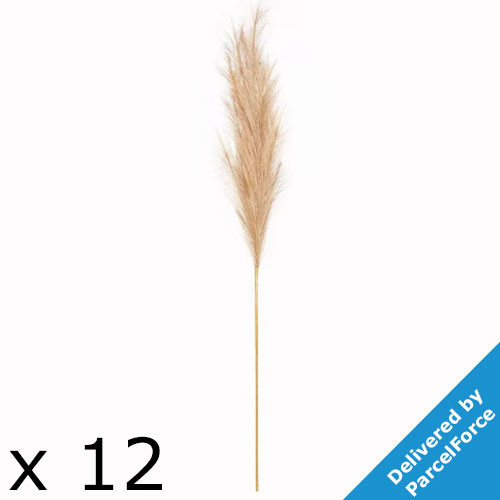 116cm Natural Luxury Pampas (12)