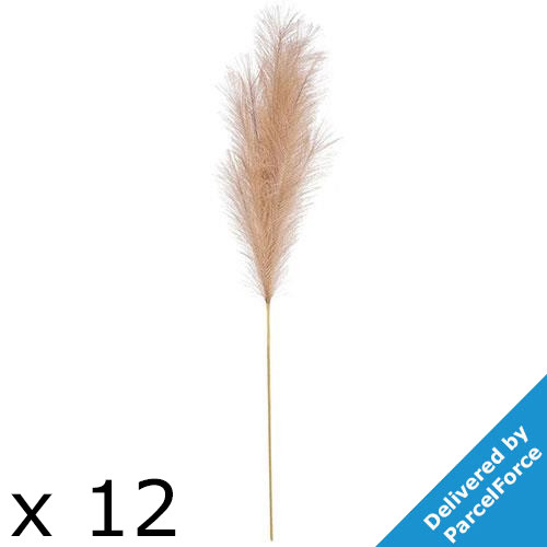 A pack of 12 Tan Luxury Pampas!