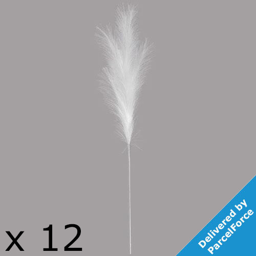 A pack of 12 Arctic White Luxury Pampas!