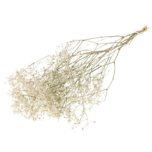 60cm Dried Natural White Gypsophila Bundle - 20g (1)