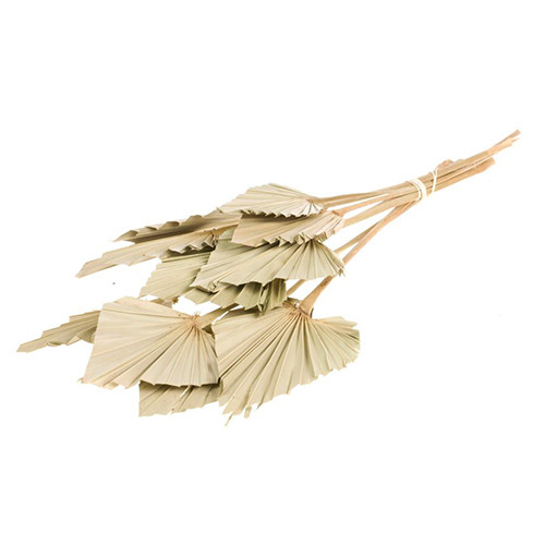 35-55cm Dried Natural Palm Spears Bundle - 10 Stems 35-55cm Dried Natural Palm Spears Bundle - 10 Stems