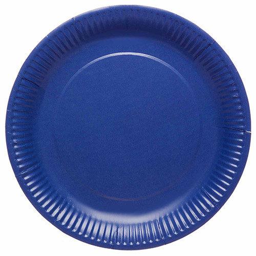 Blueberry Paper Plates (8)