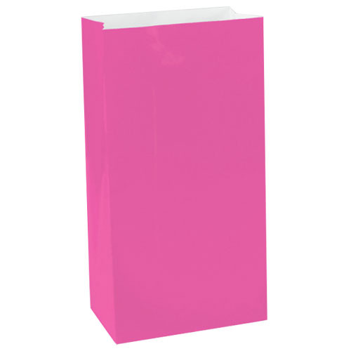 Dark Pink Paper Treat Bags (12)