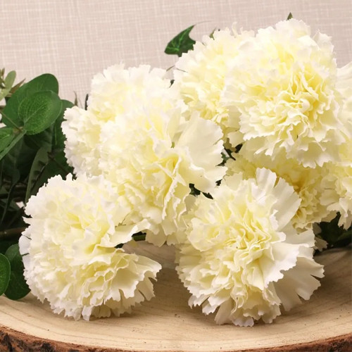 50cm Cream Carnations Bunch