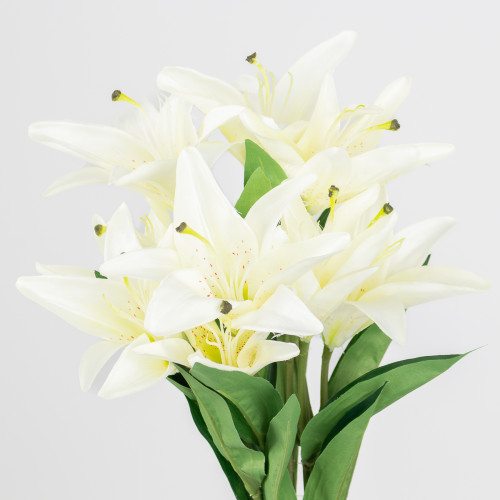 A 56cm White Lily Bunch