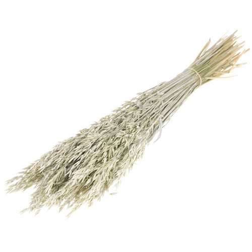 60cm Dried White Misty Oats Bunch - 25-30 Stems (1)