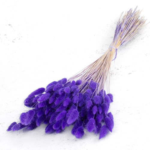 65cm Dried Purple Lagurus Bunch - 80g (1)