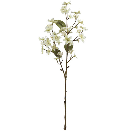 63cm Cream Dry Colour Forget-Me-Not Spray (1)