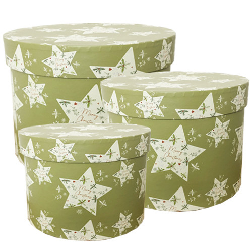 Holly Star Christmas Hat Boxes (3)