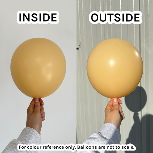 12" Fashion Peach Blush Sempertex Latex Balloons (50)