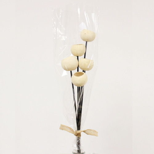 43cm Dried Bell Cup Stems (1)