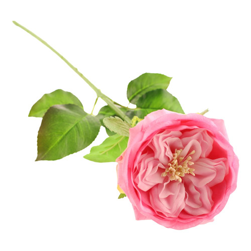 60cm Pink Provence Rose (1)
