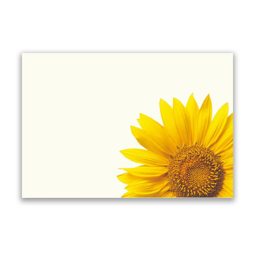 Yellow Sunflower Message Cards - 9cm x 6cm (50)