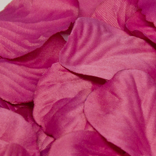 Fuchsia Rose Petals (164)