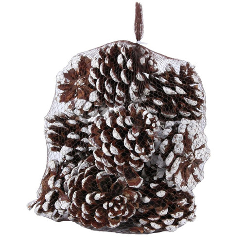 White Tipped Pine Cones - 14cm (12)