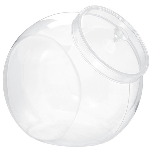 Clear Plastic Angled Container with Lid (1)